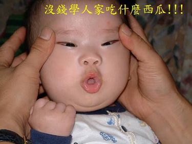 forum_wed_life_87532.jpg