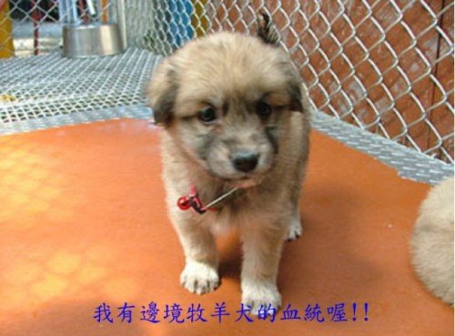 forum_wed_life_158182.jpg