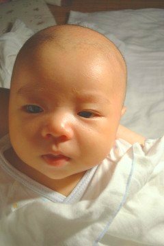 forum_wed_life_158311.jpg