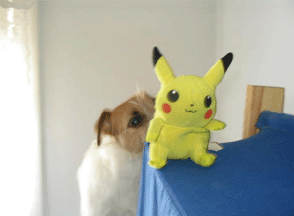 forum_user_exchange_635240.gif