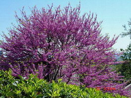forum_user_exchange_686340.jpg
