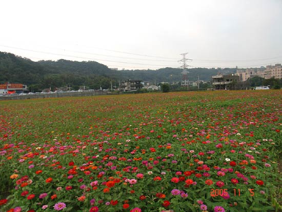 forum_user_exchange_809331.jpg