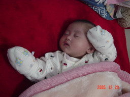 forum_wed_life_374638.jpg