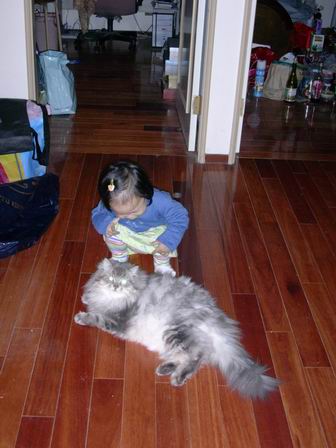 forum_wed_life_386740.jpg