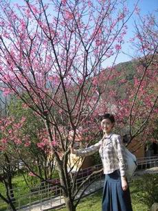 forum_wed_life_387118.jpg