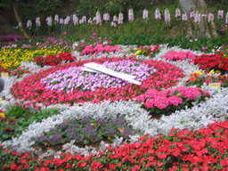forum_wed_life_402249.jpg