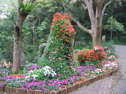 forum_wed_life_402265.jpg