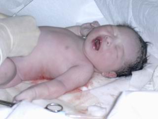 forum_wed_life_451828.jpg