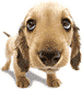 1182668521_2ce31a4b26b004b6152f2af261522725.gif