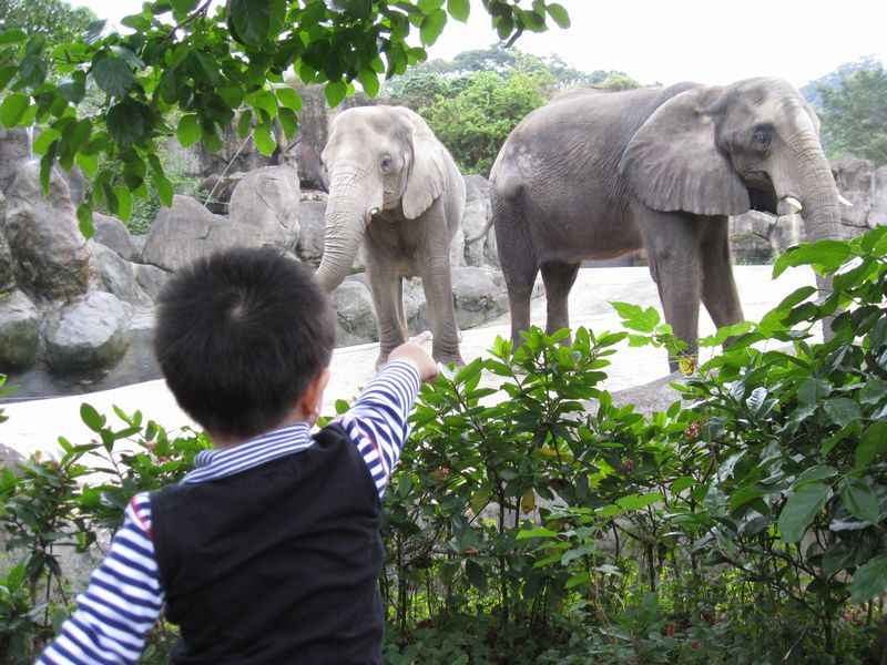 伦仔游动物园篇之请问水水们.家有2岁小孩脾气是不是很大?很不好带咧?-第1页-婚后生活讨论区-非常婚礼verywed.com