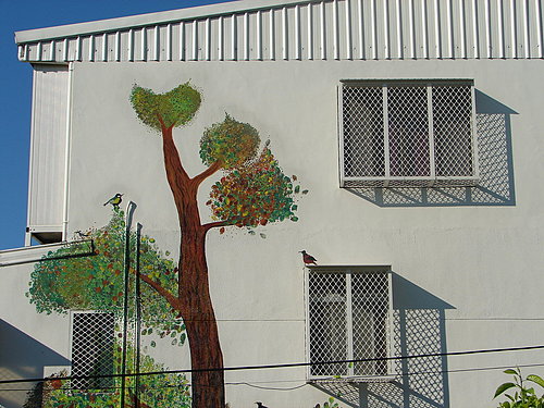 1198040351_8622be37558051ca4695505b26af369b.jpg