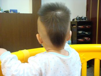 <em>宝宝头发</em>(发型)的变化.-第1页-婚后生活讨论区