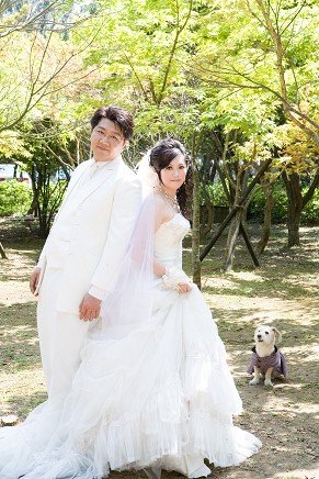 修婚纱照_婚纱照修片