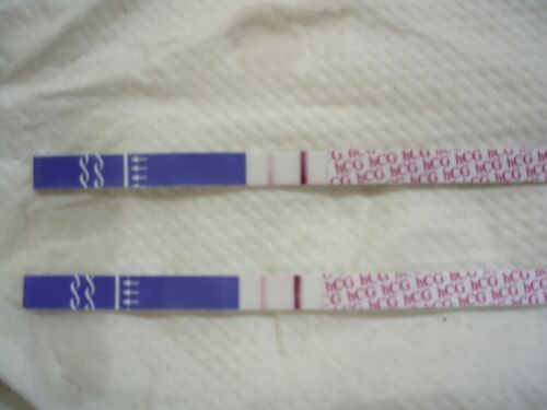1211163724_99673512435fda396eb16558d195bd4a.jpg