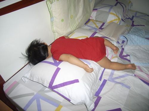 1213429930_ff45178d751f16730d77ec09589c5342.jpg