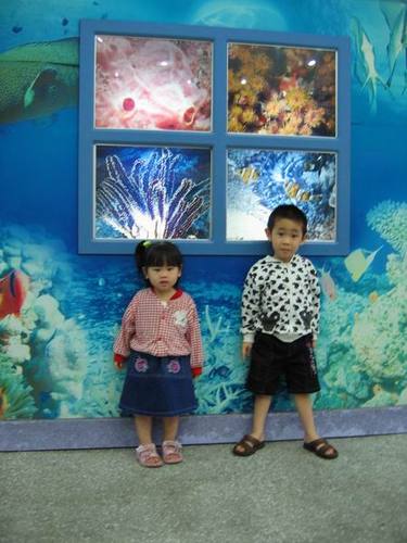 1213849033_ef4c92da20a23e9c6338ccaa2b705fee.jpg