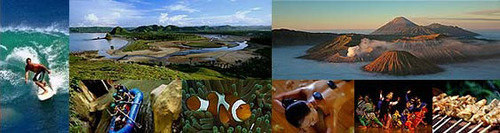 1214556626_eb76b6eaa1dabbddd7d9421aadad82ba.jpg