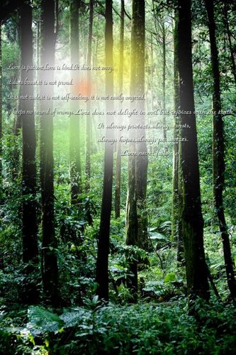 1219816400_8bcbb219a3a2379e5fd82b40d0451d6e.jpeg