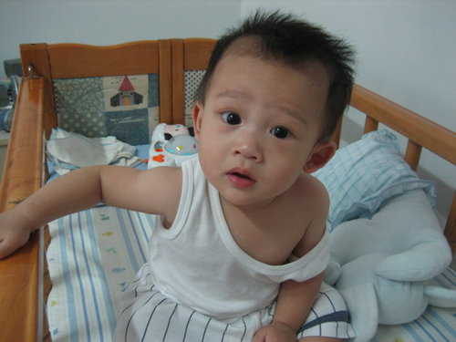 <em>要不要</em>帮<em>宝宝</em>剔<em>头发</em>呢?-第1页-婚后生活讨论区