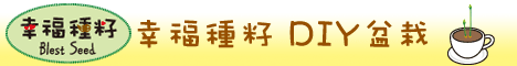 幸福種籽DIY盆栽義賣中