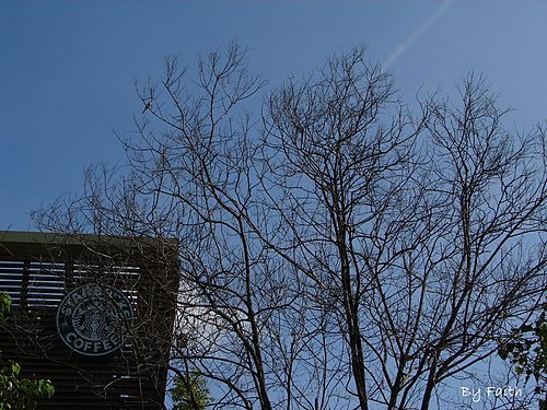1226415338_cd25158ef1e461f8487f424f57f37630.jpeg