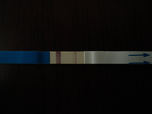 1229931102_81bc6e4ea4e13bc7345b15ca204c5e41.jpeg