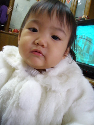 1234259808_eda0c2605a34a8ffc2fef5974b33cfc9.jpeg
