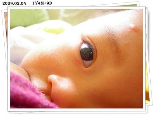 1234423123_695a919b8a0fb2bc5ced6822553cc028.jpeg