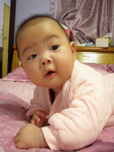 1234512663_b88abc16afcb67c846b68bf0628d1bff.jpeg