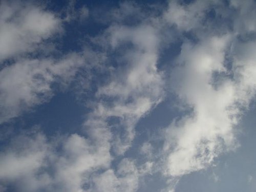 1235405741_72221b792911aec65b90f7f2c49e722b.jpeg