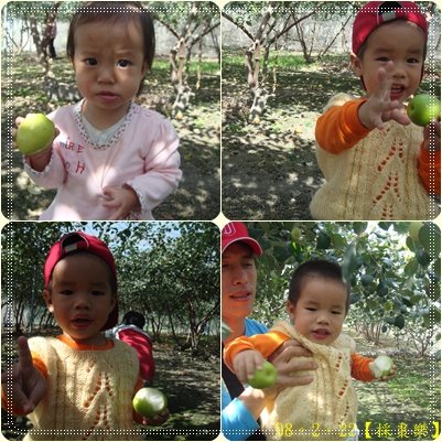 1235455017_bdb1abf5201bfa38cd21f3f101b0bea5.jpeg