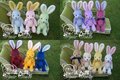 13色兔子詳圖