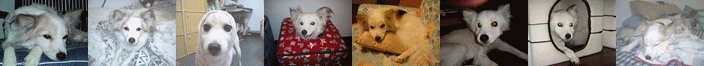 1247849676_c983f8ec938582aa4cc2d83782de4b62_big.gif