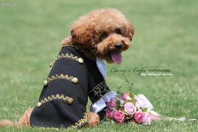 这才是婚纱照.!男帅女美~一定要全挑的啦!-第1