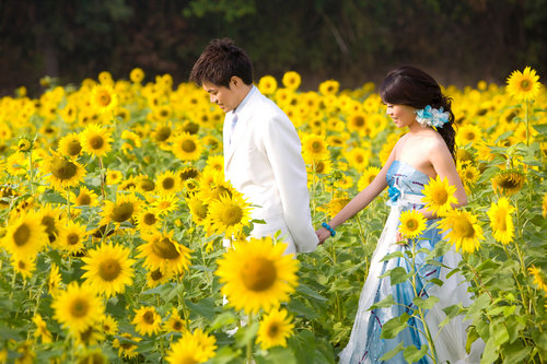 三亚婚纱摄影_翡俪婚纱摄影(3)