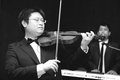 violin