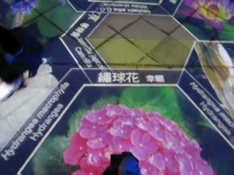 花博流行館前廣場投影