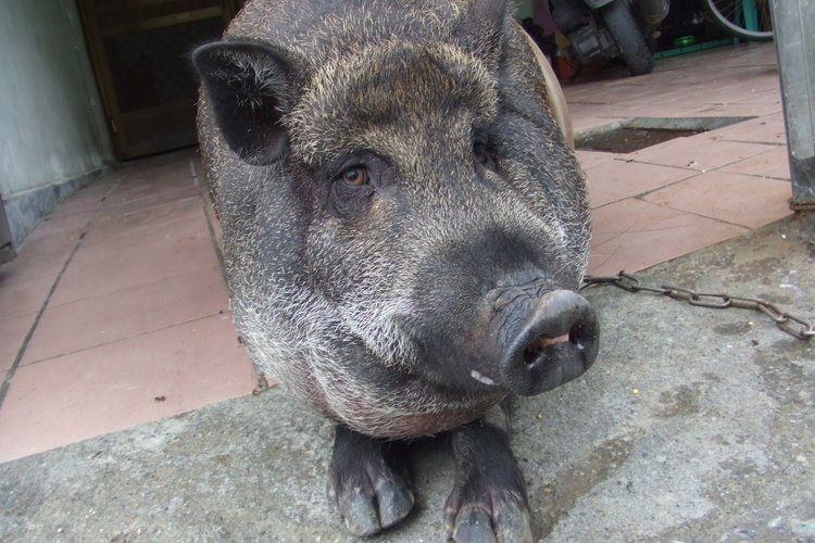 [续集] 来来来~~VW人妻分布地图-第1页-婚后生活讨论区-非常婚礼veryWed.com