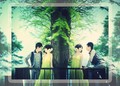韓式婚紗-12
