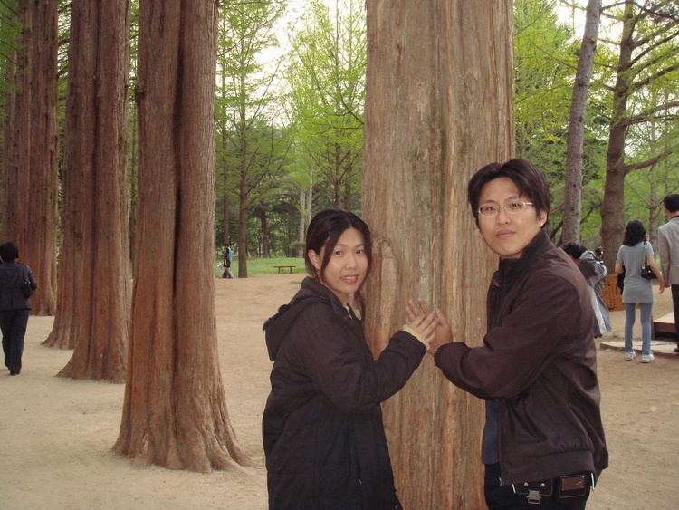 收入证明_婚礼顾问的收入(2)