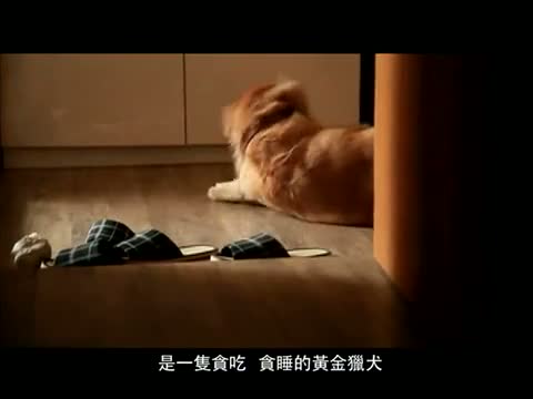 ＪＯＥ＆ＦＩＳＨ　十年愛情故事 on Vimeo.mp4