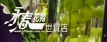永春花苑-世貿店特別報導