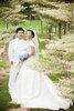 peiyu72