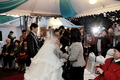 青青證婚儀式