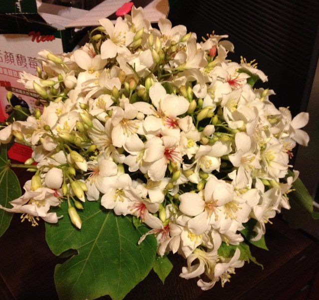 《威薇婚事》赖皮薇忙碌新娘之各种捧花与鲜花