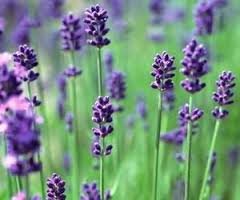 最终还是错过的感情 - 美丽爱上 - veryWed 部落格