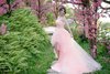 韓風婚紗攝影-自助婚紗-視覺流感攝影  WEI_0978.jpg