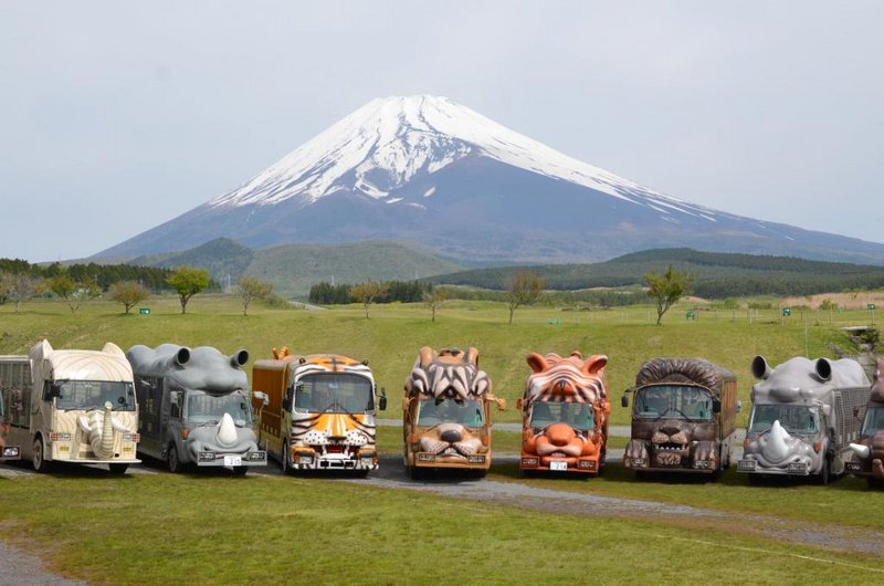 旅游新选择 富士山露营尽情拥抱大自然