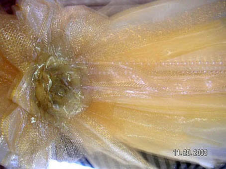 forum_user_exchange_379308.jpg