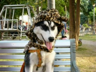 forum_user_exchange_408536.JPG